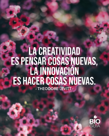 Frases para web (2) Frases para web (2)