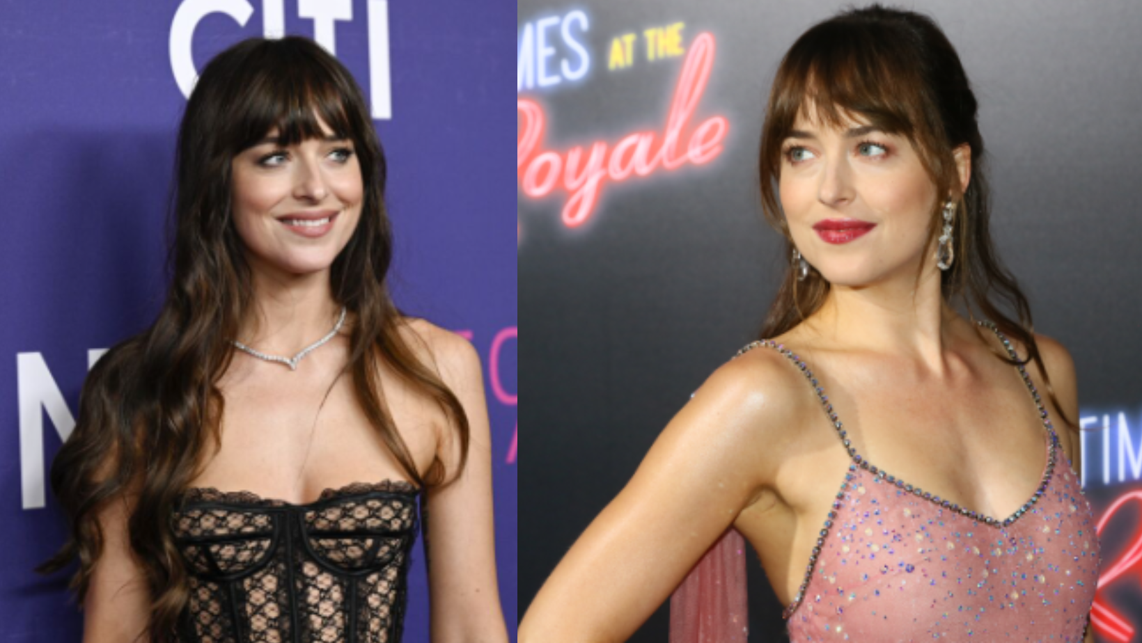 _portada bioguia 2023 02 13T105839.009 _portada bioguia 2023 02 13T105839.009