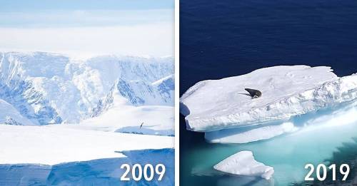 #10yearschallenge: un antes y después que no tiene nada de divertido