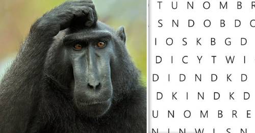 Si encuentras tu nombre entre estas letras eres realmente un genio