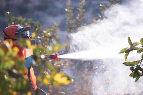 ¿Se prohibirá exportar plaguicidas europeos altamente tóxicos?
