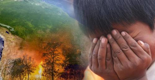¿Qué otras regiones además de Brasil son afectadas por los incendios en el Amazonas?
