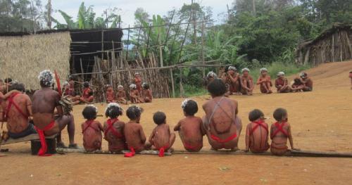 Pueblo yanomami en crisis humanitaria
