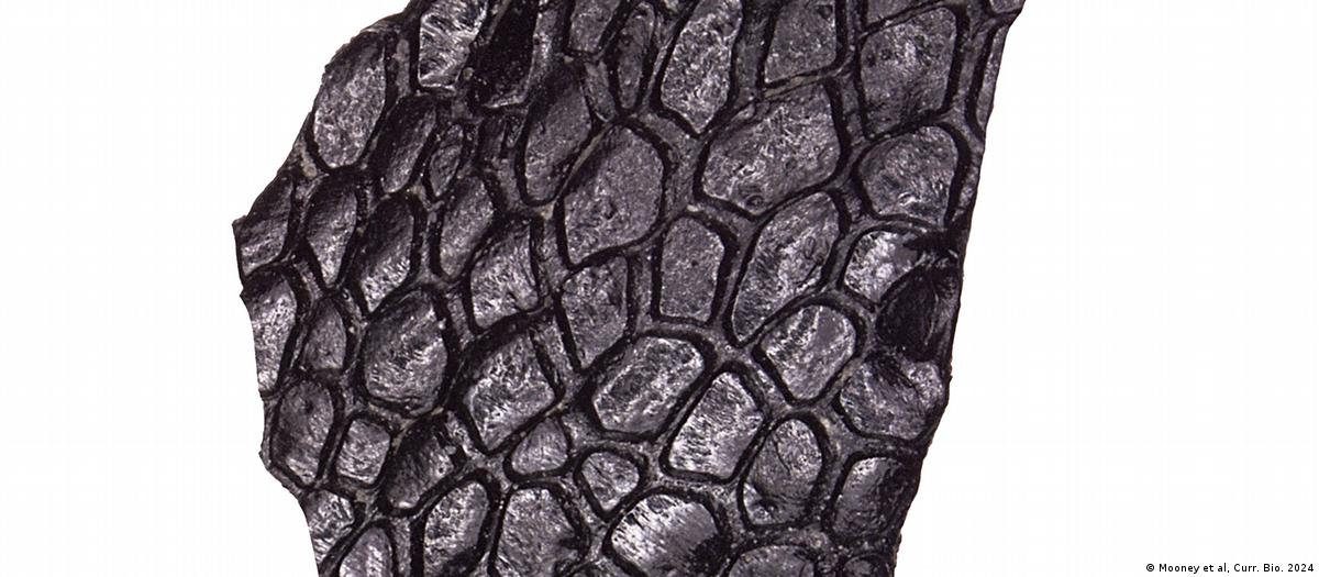 67959113_1004 67959113_1004