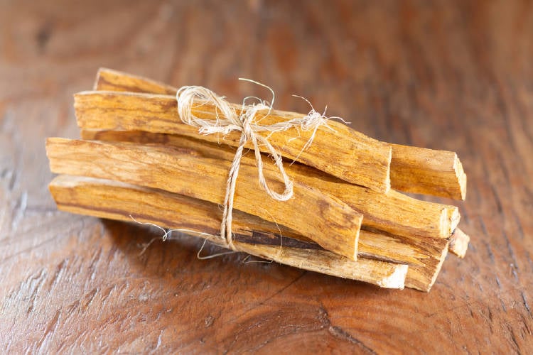 Leer el palo santo palo santo significado