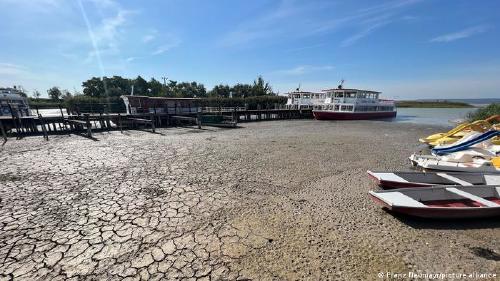 65074512_303 65074512_303