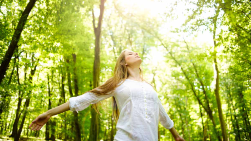 tiempo naturaleza 2 tiempo naturaleza 2