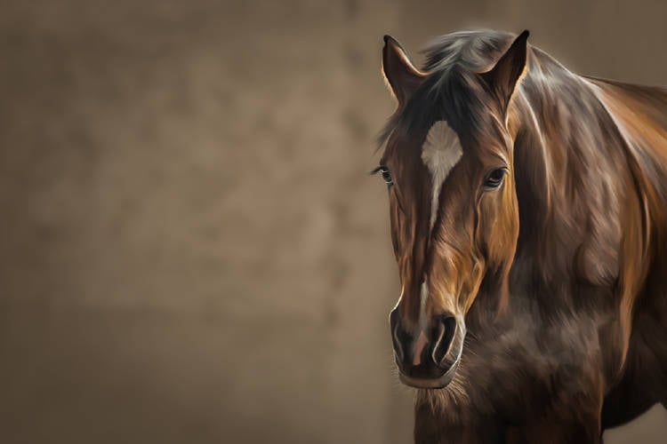 ¿Cuántos caballos ves? descubre cuál es tu verdadera naturaleza