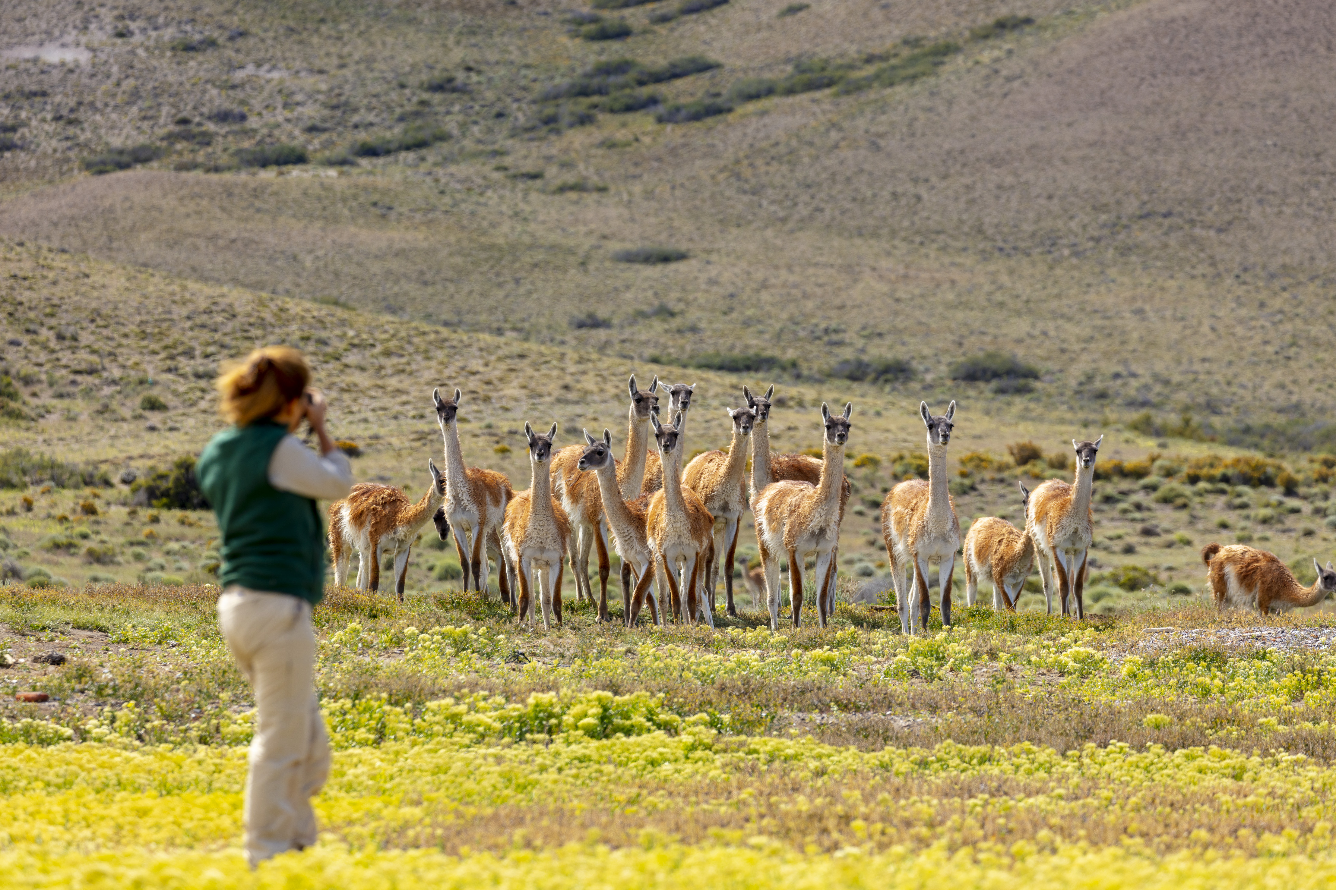 Parque Patagonia Florian von der Fecht 2020 _M4A3611 (1) Parque Patagonia Florian von der Fecht 2020 _M4A3611 (1)
