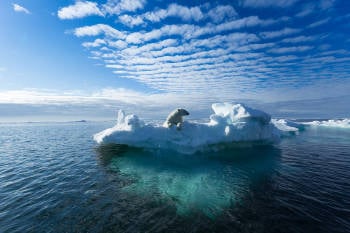 deshielo artico iceberg cambio climatico