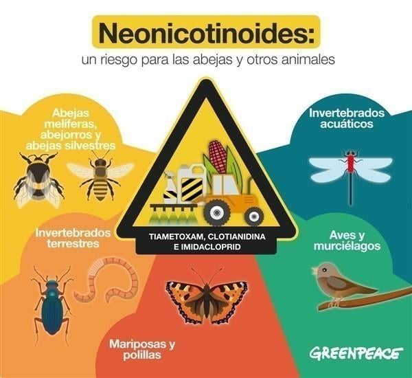 Los neonicotinoides causan la muerte de enjambres enteros