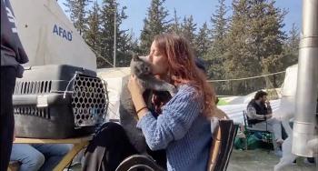 gatita turquia gatita turquia