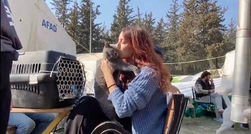 gatita turquia gatita turquia