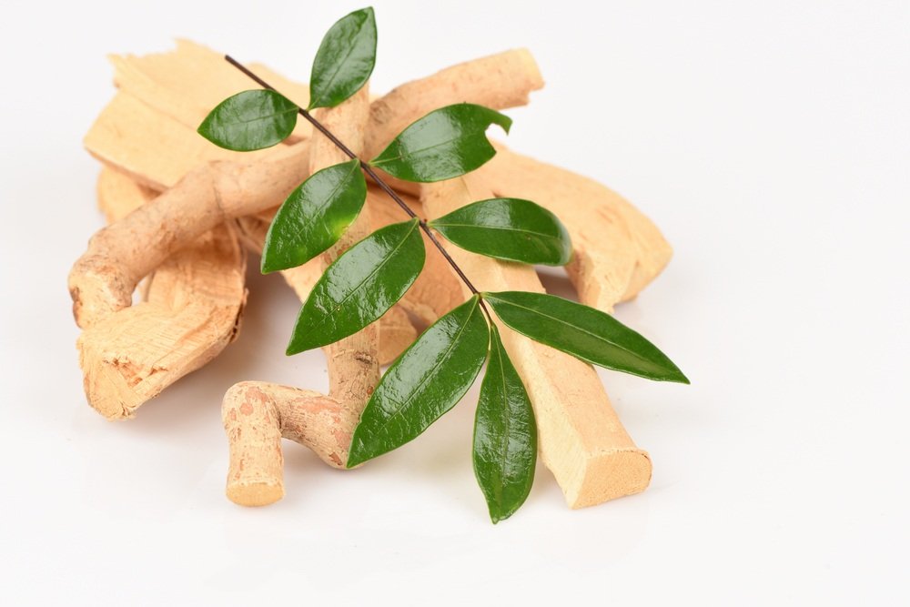 hierbas medicinales apetito sexual Tongkat ali