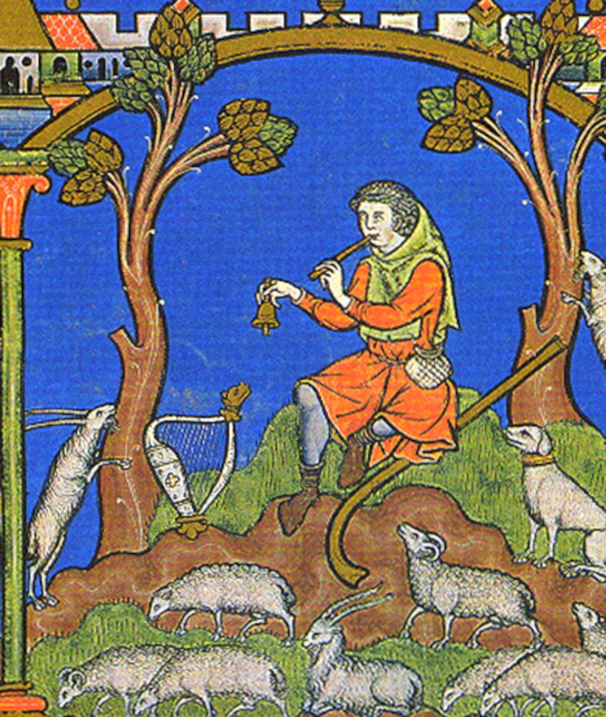 ovejas edad media ovejas edad media