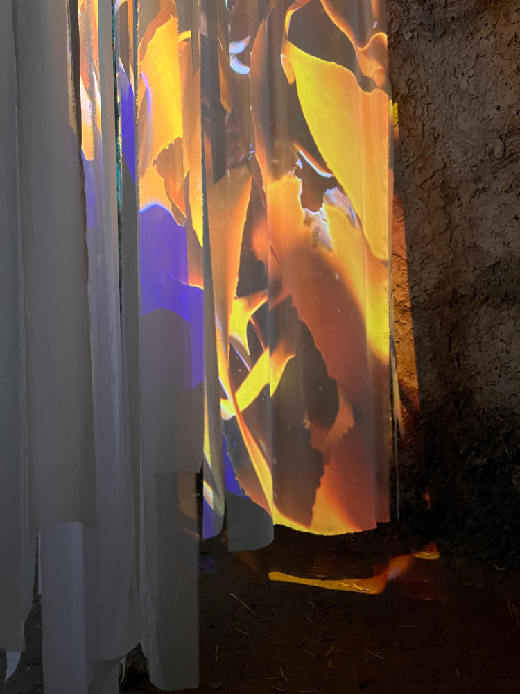 Proyección de algas en _Nadando se llega al bosque_ Proyección de algas en _Nadando se llega al bosque_