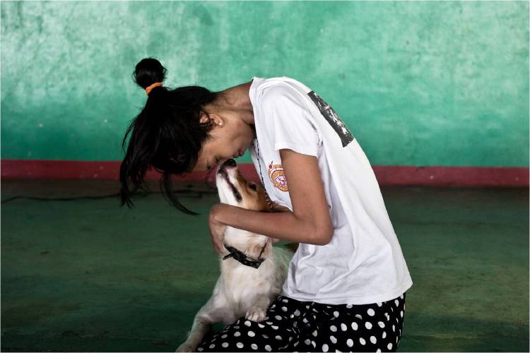 La vida es mejor con Perros