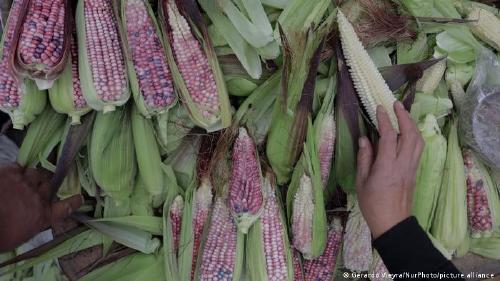 64702279_303 64702279_303