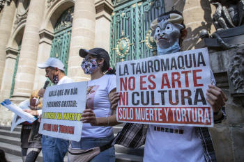 protestas toros mexico