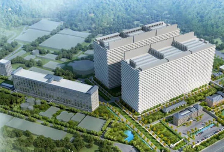 cerdos 2 agrodigital cerdos 2 agrodigital