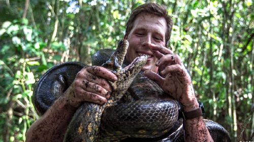 68331547_1004 68331547_1004