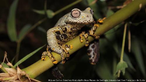 64491441_303 64491441_303