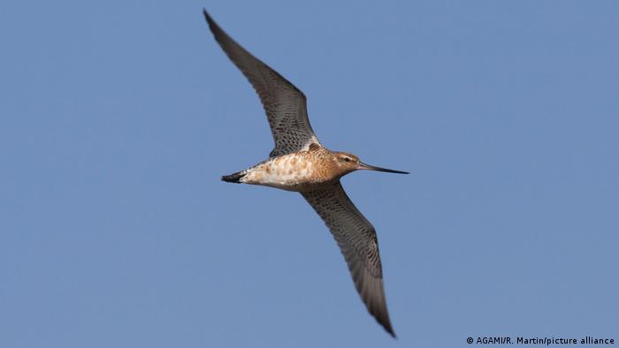 63733394_303 63733394_303