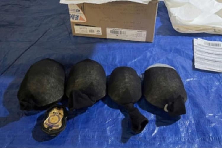 tortugas Tortugas contrabandeadas © Sin acreditar