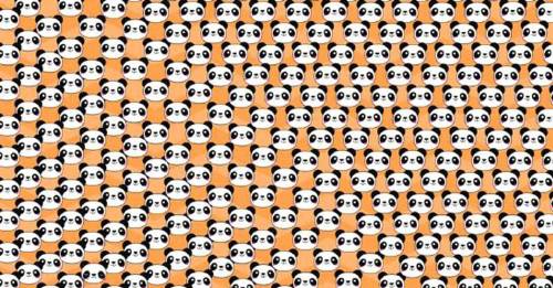 ¿Puedes encontrar al panda triste en esta imagen? El reto que pondrá a prueba tu agudeza visual