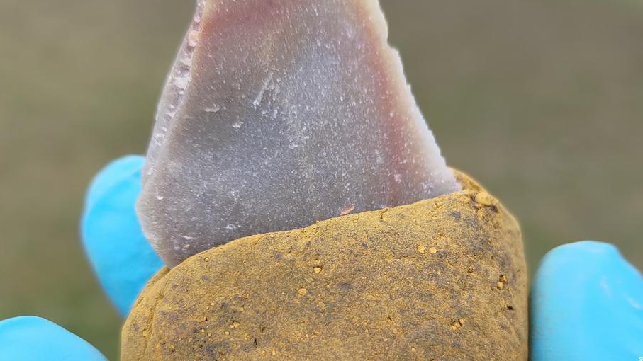 68345582_1004 68345582_1004