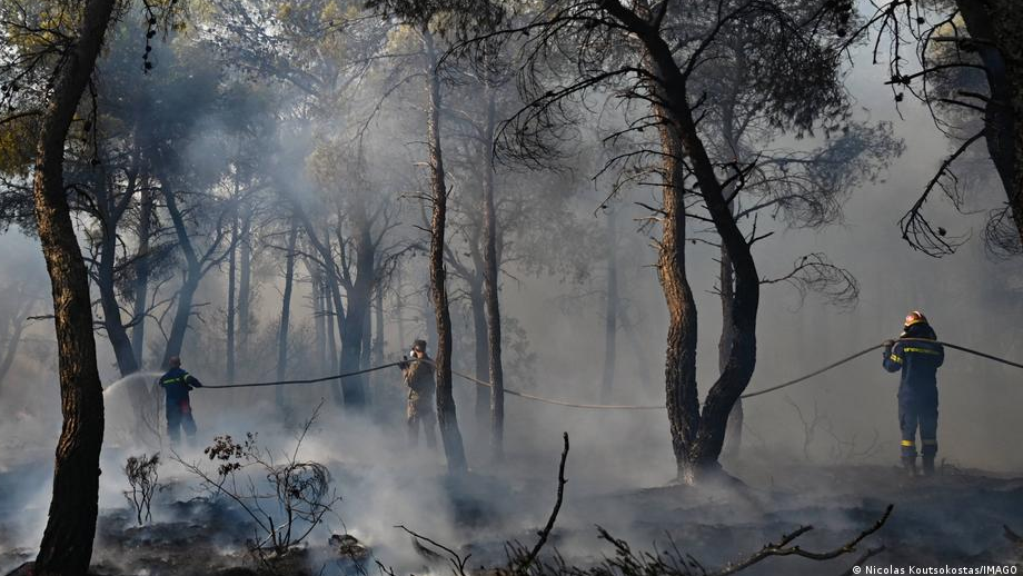 66628186_1004 66628186_1004