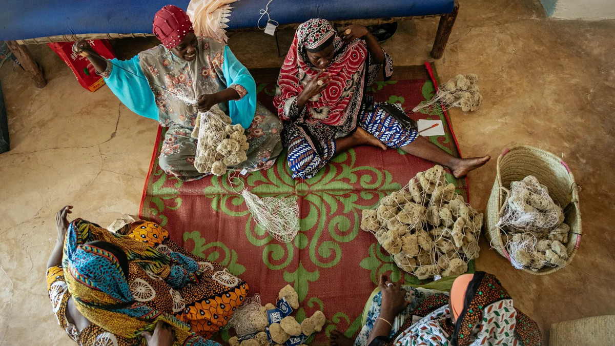 mujeres esponjas zanzibar2 mujeres esponjas zanzibar2