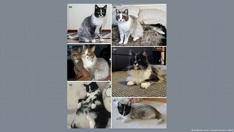 69194637_906 69194637_906