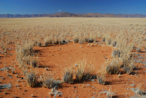 circulos de angeles AdobeStock_25351659 circulos de angeles AdobeStock_25351659