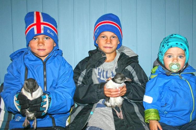 niños con aves marinas El emocionante ritual islandés que mantiene viva a una especie en peligro. (icelanddiscovery.is)