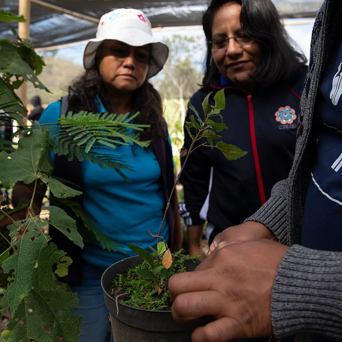 MUJERES OAXACA