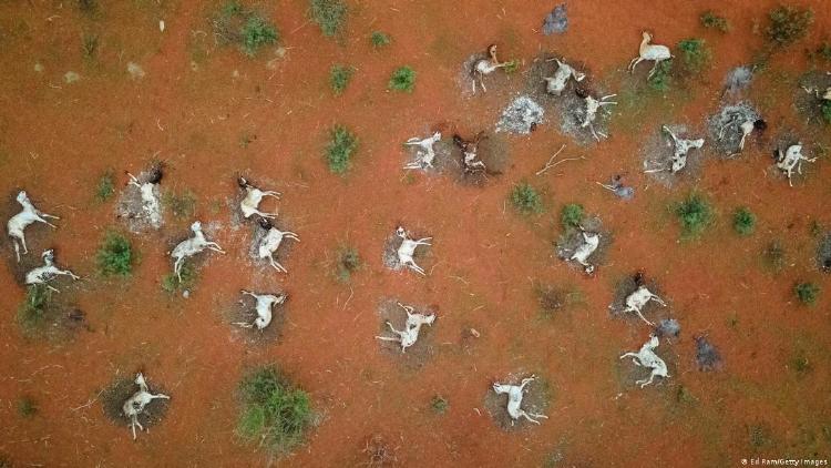 60143238_906 60143238_906