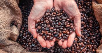 Desafío visual: ¿Puedes encontrar al hombre entre los granos de café? 