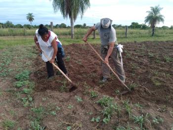 Trabajando la tierra dos