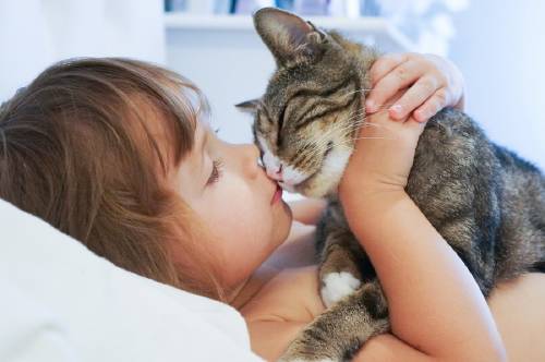 niño besando gato en cama