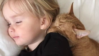 niño gato Según especialistas: ¿es sano dormir con gatos? ¿qué hay que tener en cuenta? (Foto: Pinterest)