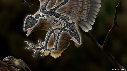 64357225_303 64357225_303