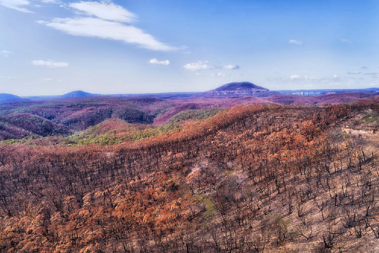 incendios forestales Incendios forestales en Grecia: imágenes satelitales del daño generado por el fuego