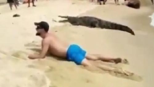 Turista junto a Caimán Turista junto a Caimán