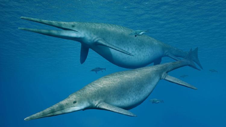 02 giant ichthyosaur