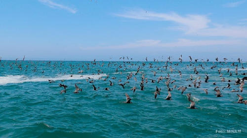RESERVA NACIONAL MAR TROPICAL DE GRAU RESERVA NACIONAL MAR TROPICAL DE GRAU