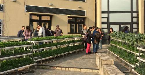 La huerta propia, una tendencia que se instala cada vez más
