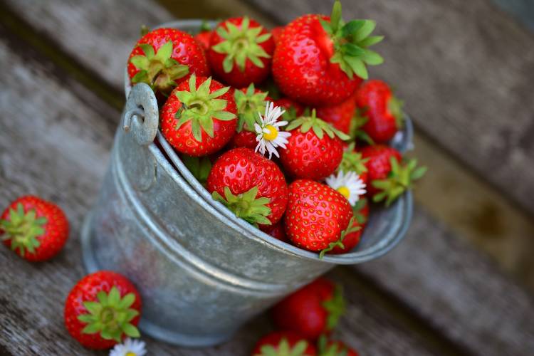 Un balde lleno de fresas