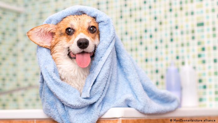 59837162_303 59837162_303