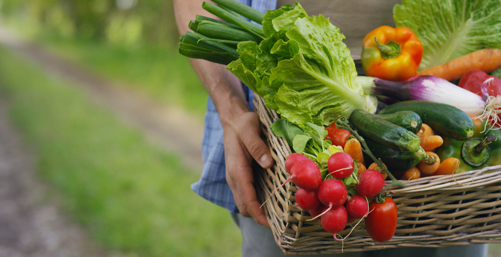 alimentacion saludable canasto de frutas y verduras para una alimentacion saludable